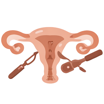 Ícone de cirurgias ginecológicas